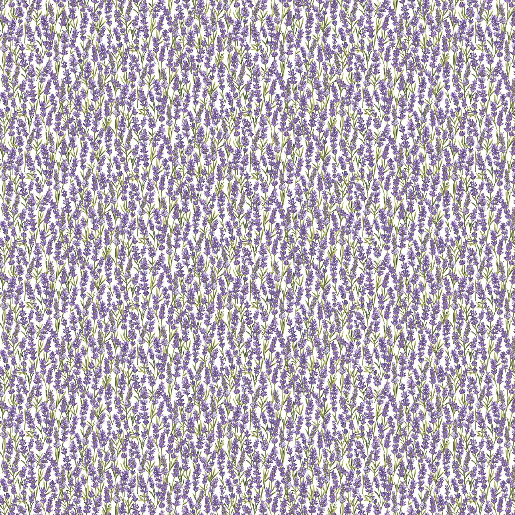 Lavender Market 100% Cotton Fabric - By the Yard - 24476-10 - Packed Lavender - White Multi