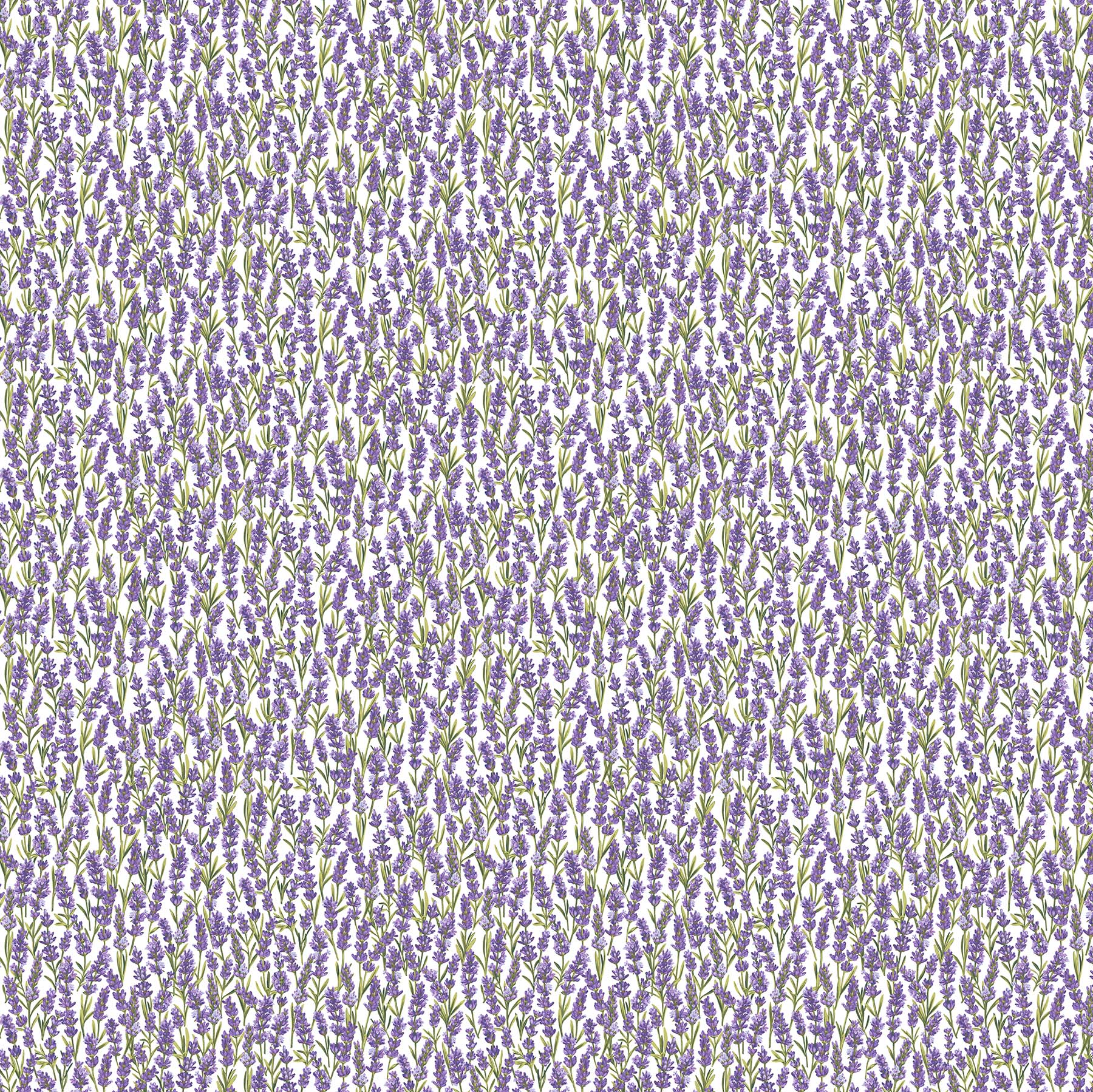 Lavender Market 100% Cotton Fabric - By the Yard - 24476-10 - Packed Lavender - White Multi