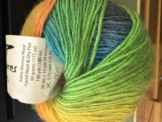 Acacia Vivid Colors Yarn 005