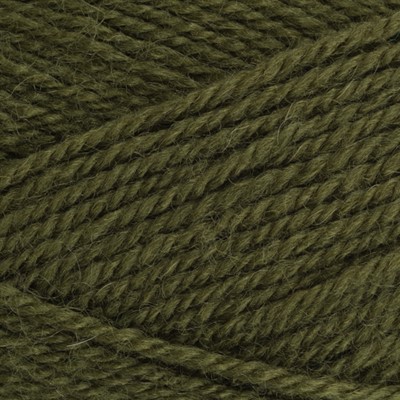 Stylecraft Yarns Life DK Yarn 2302 Olive