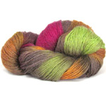 Plymouth Yarn Sakkie 0408