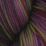 Plymouth Yarns Worsted Merino Superwash Yarn Hand Dyed 0105 Grapes