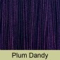 Prism Symphony Yarn in Colorway Plum Dandy