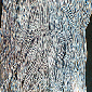 Prism Wicket Ikat Yarn - Grays