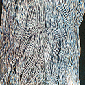Prism Wicket Ikat Yarn - Grays Prism Wicket Ikat Yarn - Grays