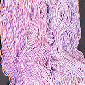 Prism Wicket Ikat Yarn - Lavender