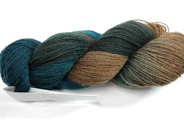 Prism Saki Sock Yarn Colorway Woodlands