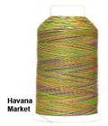 YLI 40/3 Variegated Machine Quilting Thread - 79V Havana Market YLI 40/3 Variegated Machine Quilting Thread - 79V Havana Market