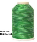 YLI 40/3 Variegated Machine Quilting Thread - 84V Amazon Rain Forest